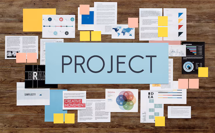 Project Management in Practice